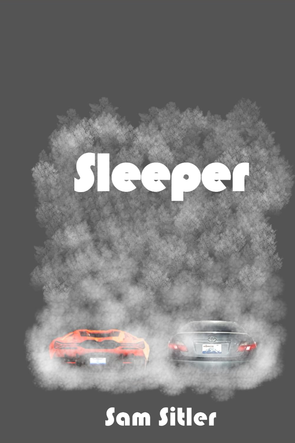 Sleeper