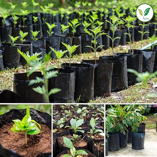 Image of IAgriFarm UV Protected Poly Grow Bag /Nursery Plant Bags, 25x25 inch, 10 Qty, Black