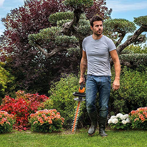 WORX WG261 20V Power Share 22-Inch Cordless Hedge Trimmer, Battery and Charger Included, Black and Orange