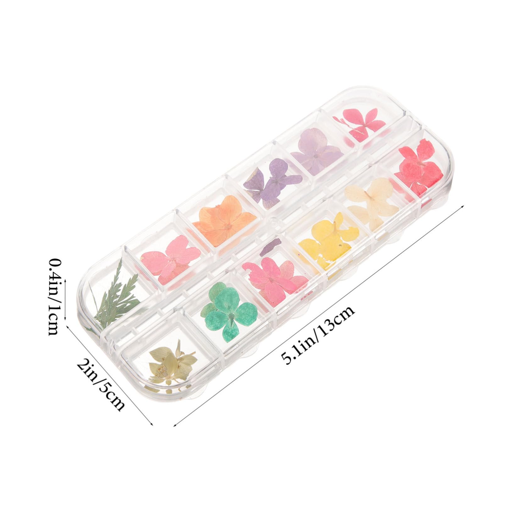 Amosfun Fleurs Séchées Naturelles pour Résine Époxy Kit De Boîtes pour Artisanat De Et Bougie Décoration Créative Parfum Naturel Et Éclat
