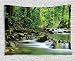 Ambesonne Rainforest Tapestry, Mountain Stream in a Tropical Rain Forest Foliage Countryside Wilderness Scene, Wide Wall Hanging for Bedroom Living Room Dorm, 80" X 60", Brown Green