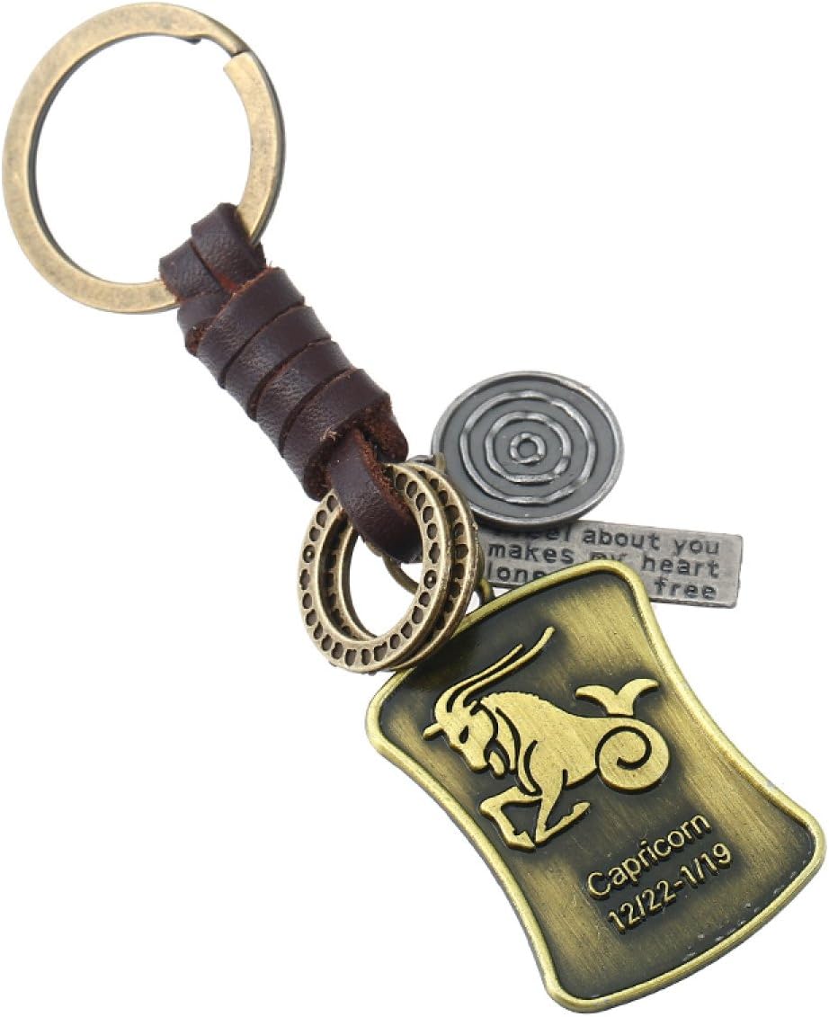 HZYSQ Alloy Key Ring Twelve Constellations Small Gifts Men And Women Retro Angel Wing Braided Leather Punk Key Chain C,Capricorn