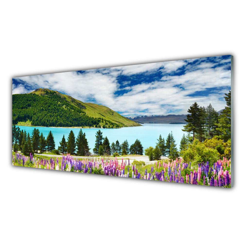 Impression sur verre trempé Tulup 125x50cm décoration murale premium paysage