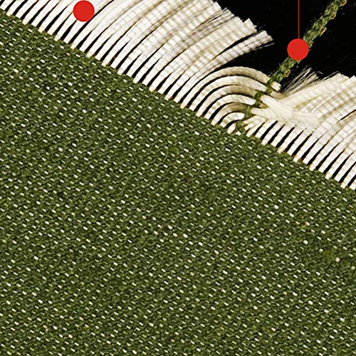 Bâche imperméable forte OKUOKA couverture tapis de sol vert 2m