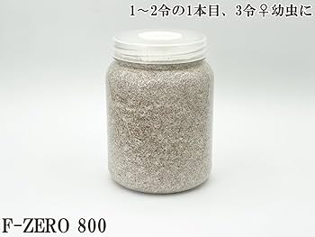 菌糸ボトル作成セット 楽天市場】ギネス7冠 パラワンオオヒラタ114.1mm【DDA】F-ZERO
