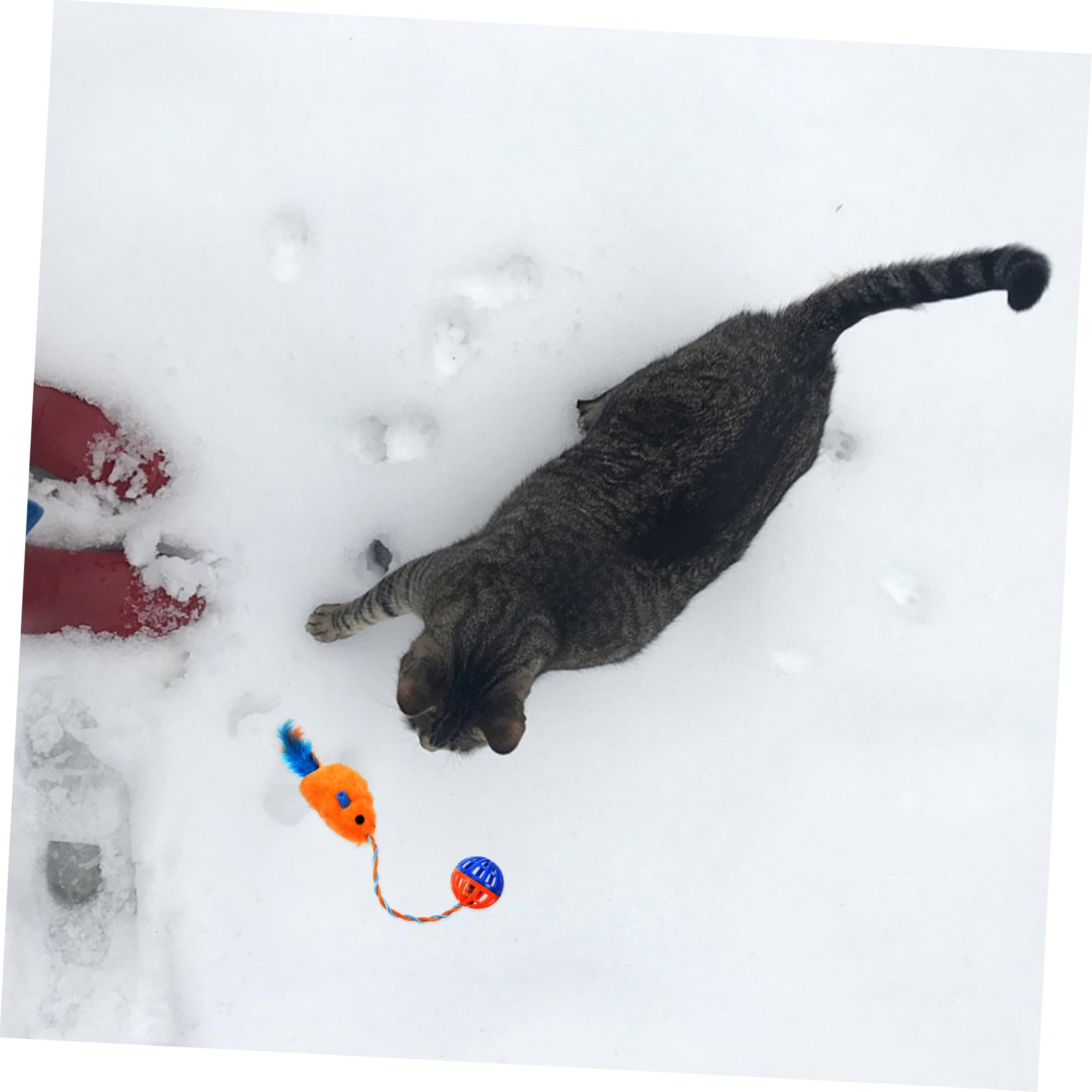 Mipcase Interactif Chat avec Souris Peluche et Clochette Plastique à Mâcher pour Dents de Chat Stimule Activité Jeu Intérieur des Félins