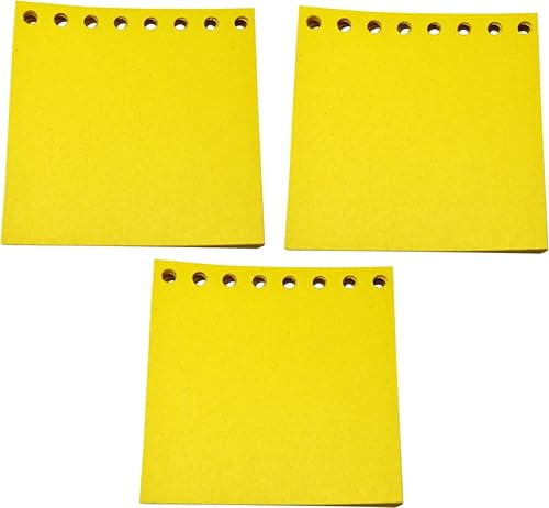 Paquete de recarga de papel para tu práctico cuaderno Dandy Cxx1