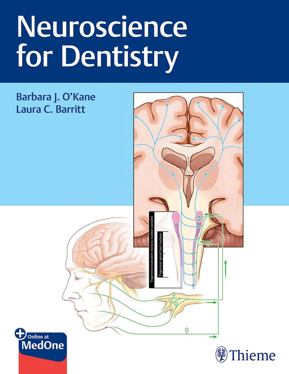 Thieme Neuroscience for Dentistry by Barbara O'Kane; Laura Barritt – Produktbeschreibung