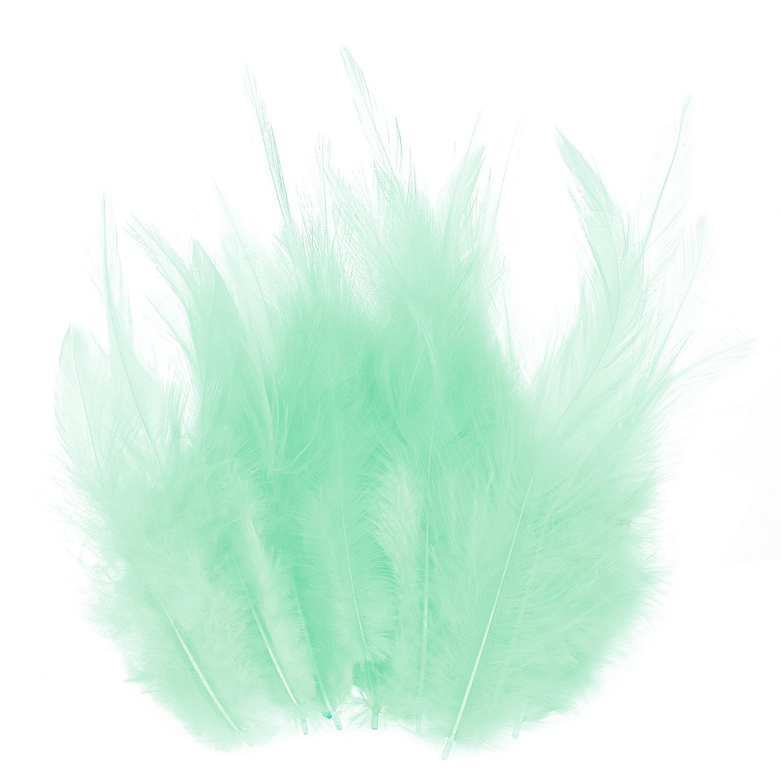 M METERXITY 300-Pack Saddle Hackle Rooster Feather