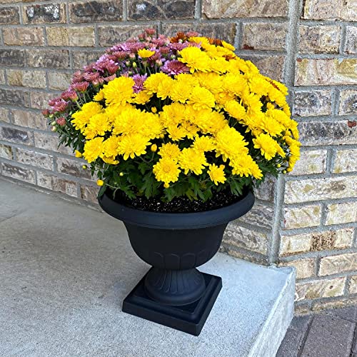 Howplumb 12-In. Flat Black Classic Urn Plastic Planter For Indoor And Outdoor Use #TOP4