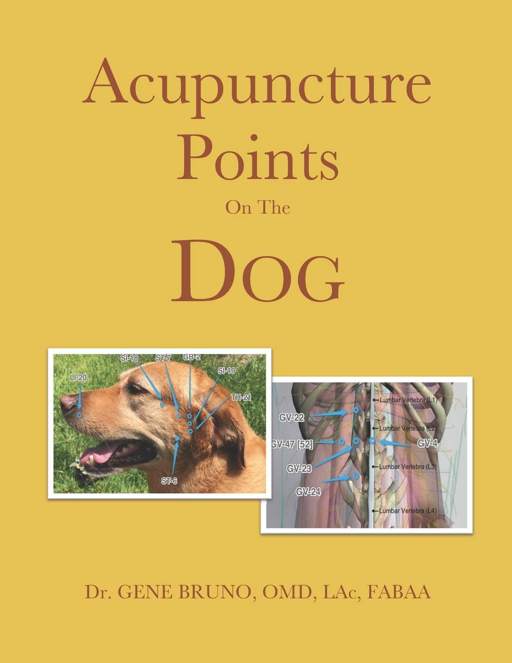 Independently Published Acupuncture Points on the Dog