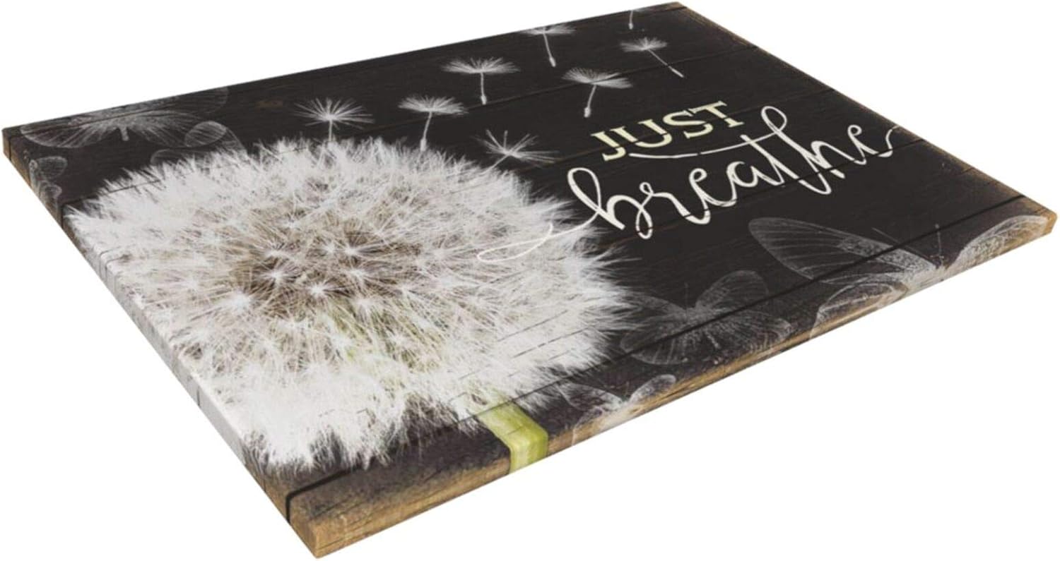 Just Breathe Wall Art Rustic Dandelion Canvas Black And White Flower Floral Painting Botanical Picture Giclee Matte Prints Home Decor For Kitchen Bedroom Living Room Bathroom 16x24 Inch