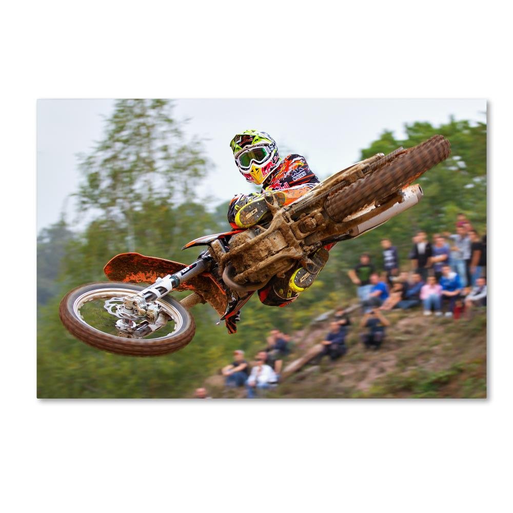 Trademark Fine Art Tony Cairoli Wall Décor