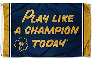 WinCraft Official Notre Dame University 3x5 College Flag