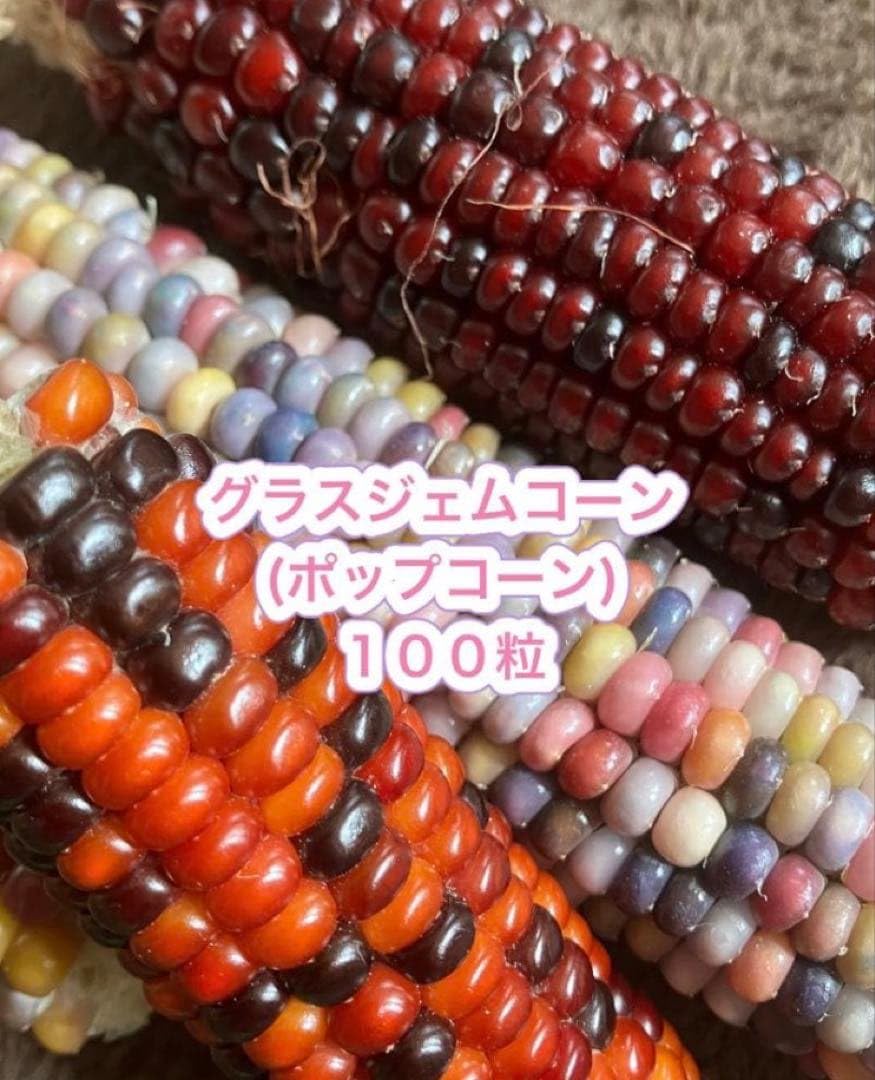 グラスジェムコーン100粒(ダークカラー&パステルカラー) Amazon.co.jp: グラスジェムコーン100粒 ダークカラー&パステルカラー