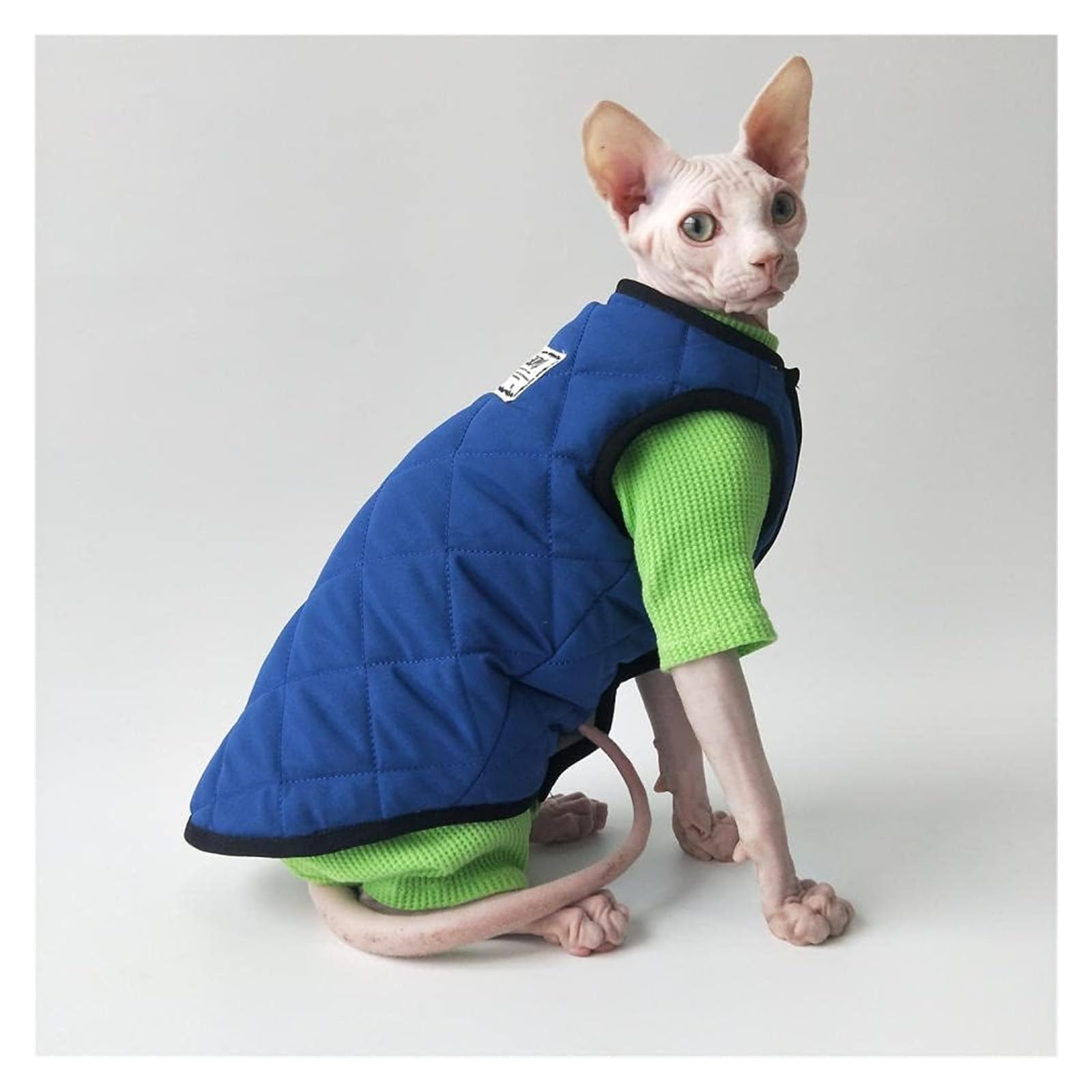 Odzież dla kotów, Koszula z kamizelką, ciepły kombinezon dla kota, odpowiedni sfinksa itp | Green+blue vest,XXL