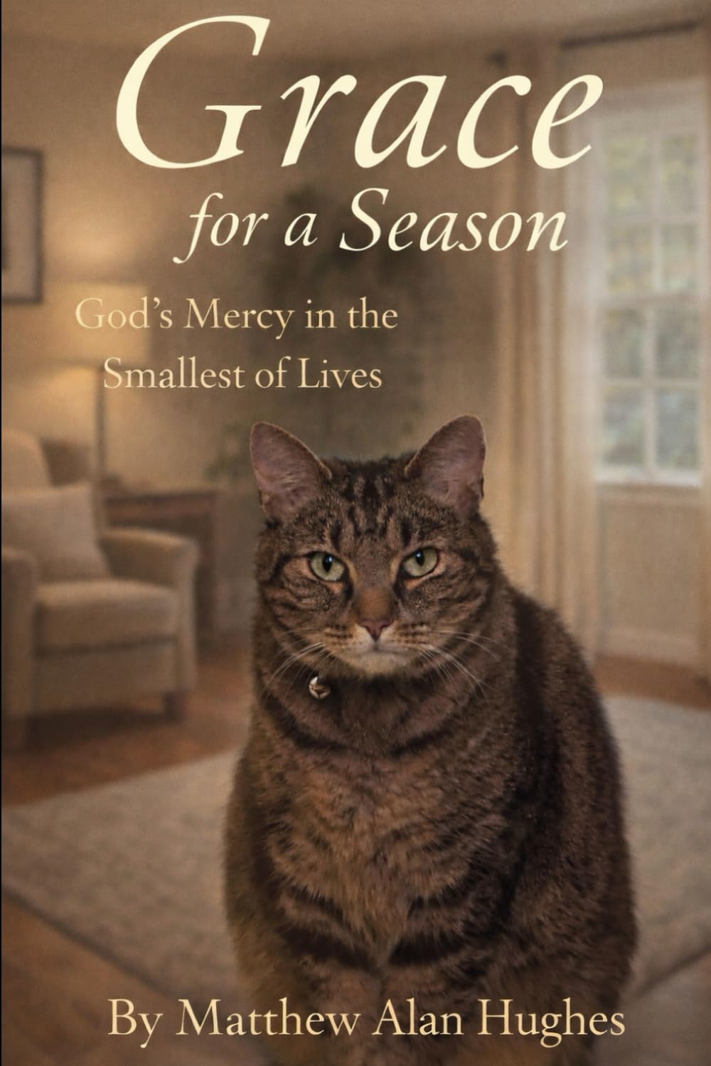Grace for a Season: God's Mercy in the Smallest of Lives
