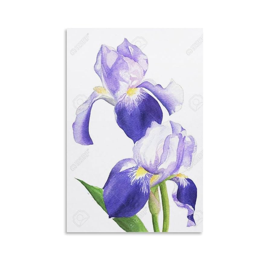 Amazon.co.jp: 水彩画イラスト紫色のアイリスの花植物 印刷