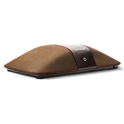 Car Air Purifier with True Filter Car Portable Air purifier
