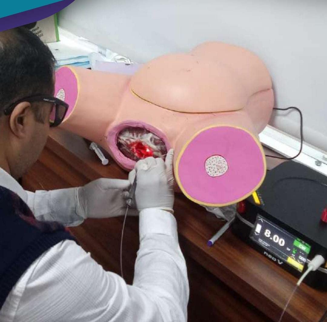 ISKO® child birth model delivery model Baby Birth Simulator (B0C3XF5XDR) Amazon Price History, Amazon Price Tracker