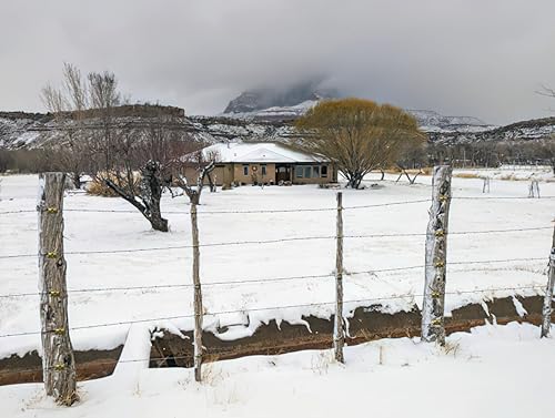 Miniatura 9 de Sujetadores, grapas para valla Sapbontchi de 2 pulgadas para maderas blandas, 200 unidades reemplazan la grapa común de esgrima se instala