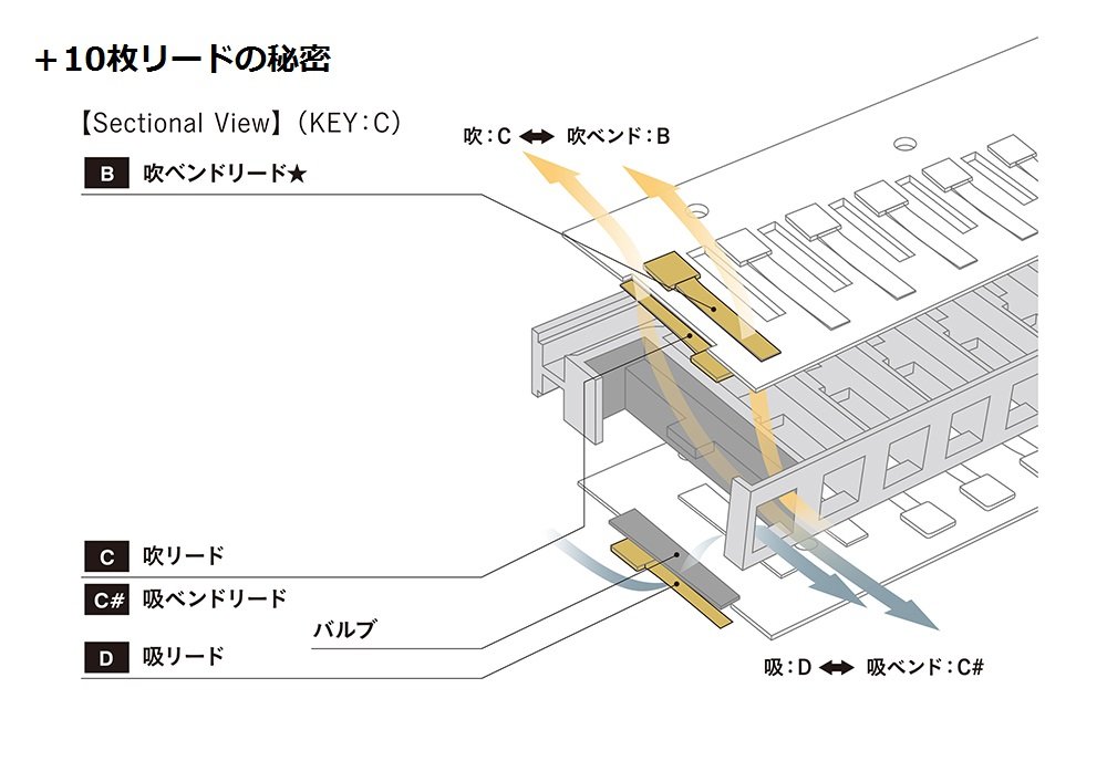 Amazon | SUZUKI スズキ 10穴ハーモニカ ULTRA BEND SUB30 C調