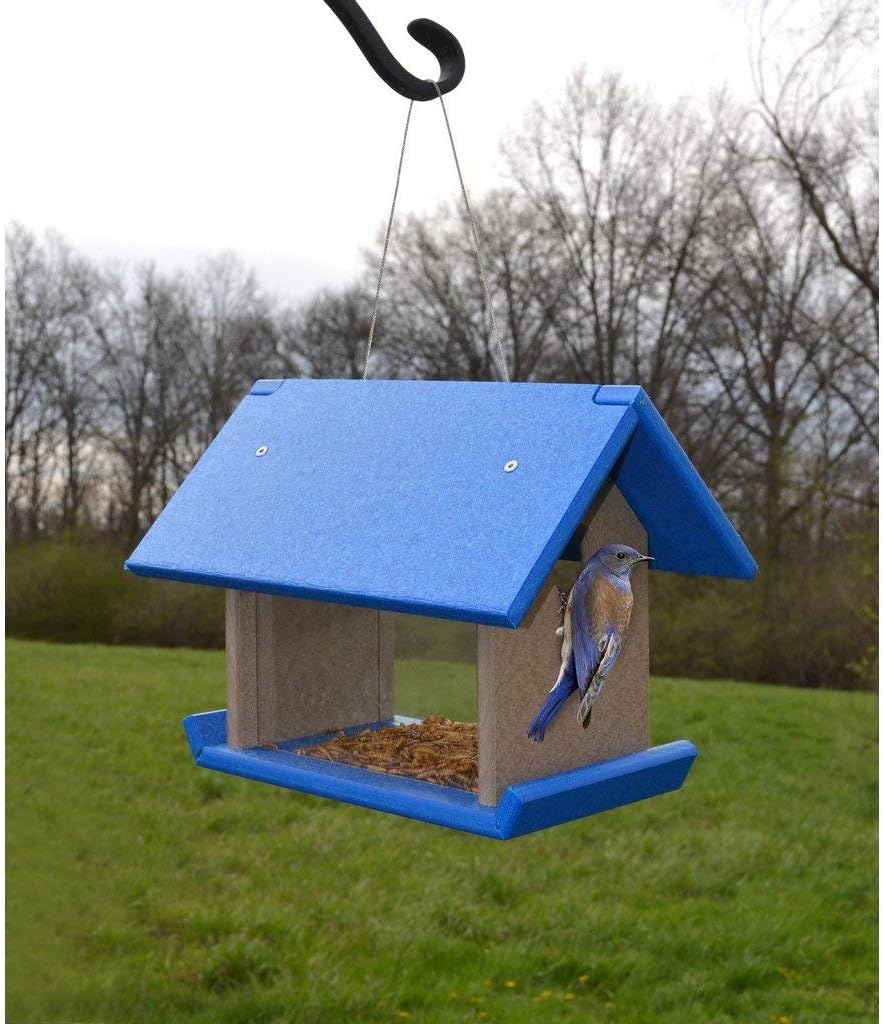 Songbird Essentials Mealworm Feeder Blue/Grey