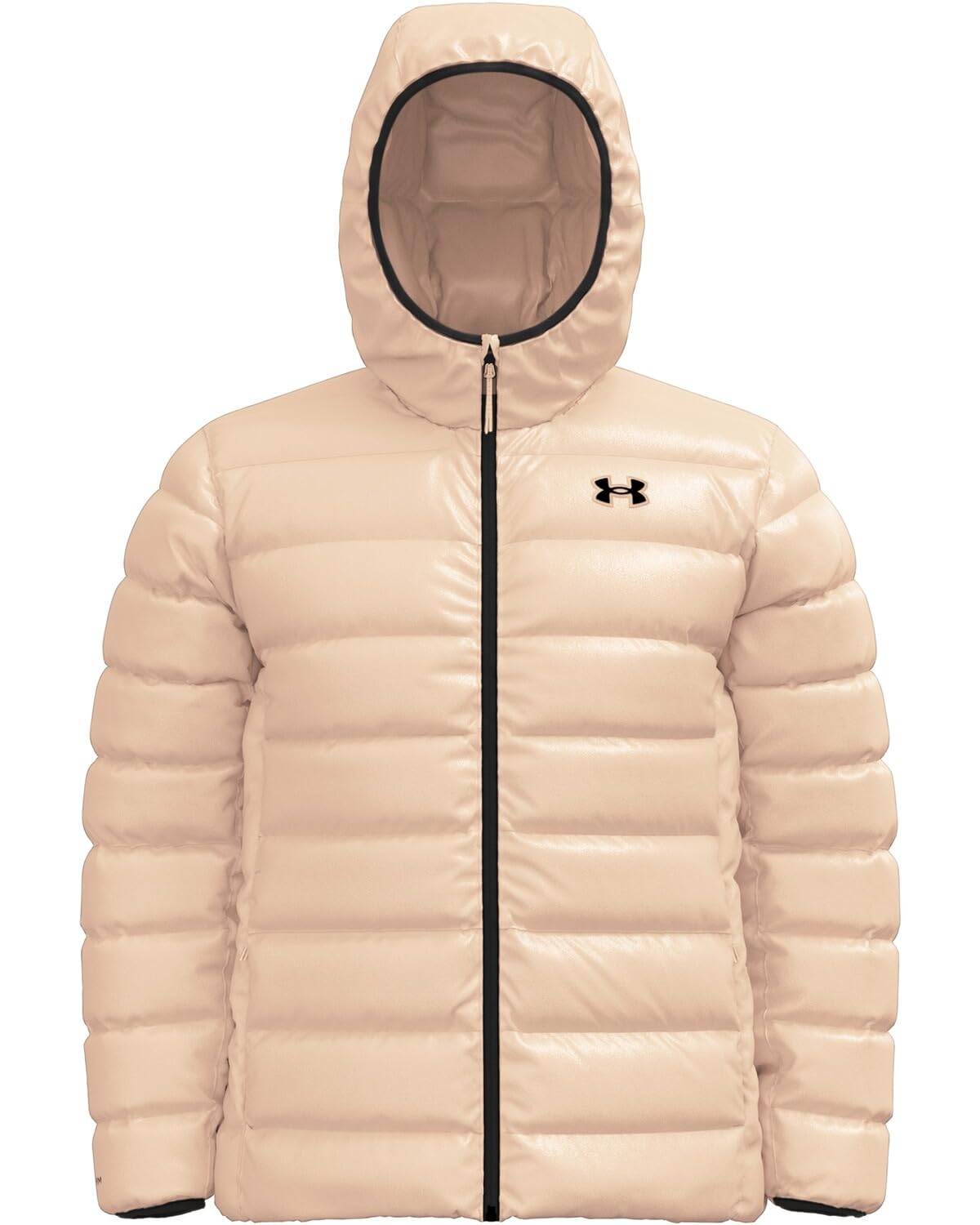 LEGEND DOWN HOODED JACKET Mont Erkek