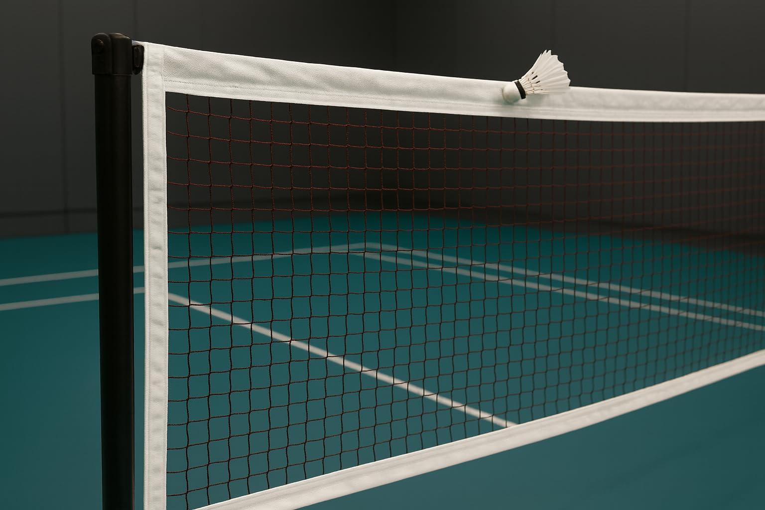 Standard Nylon Badminton NET 22x2.5 Feet for Indoor and Outdoor Games