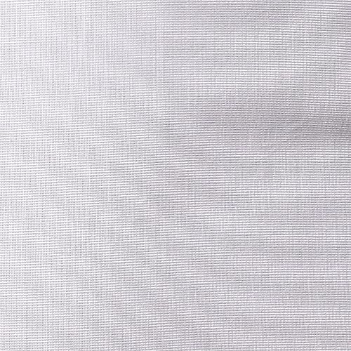 Image of Park Avenue Men's Cotton Regular Fit Shirt