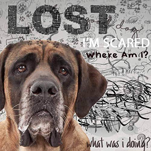 Image of The Blissful Dog Mastiff Age Well Dog Aromatherapy Roll-On Bottle for Your Dog's Peaceful Ageing