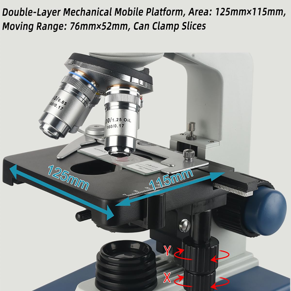 Microscopio biológico Profesional, Equipos y Suministros de Laboratorio, 40X-2500X/4*Objetivo/4*Ocular, con Condensador Abbe, Fuente de luz LED hacia Arriba y hacia Abajo