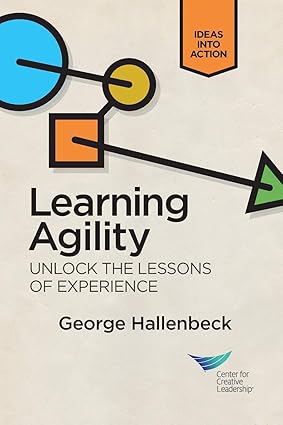 Leaing Agility: Unlock the Lessons of Experience-Wow! eBook