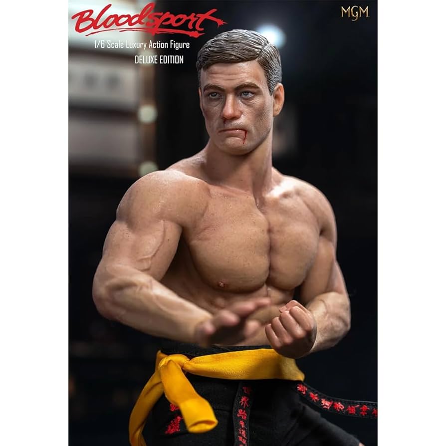 Amazon.co.jp: HiPlay Infinite 1/6 拳覇天下 -ブラッドポイント