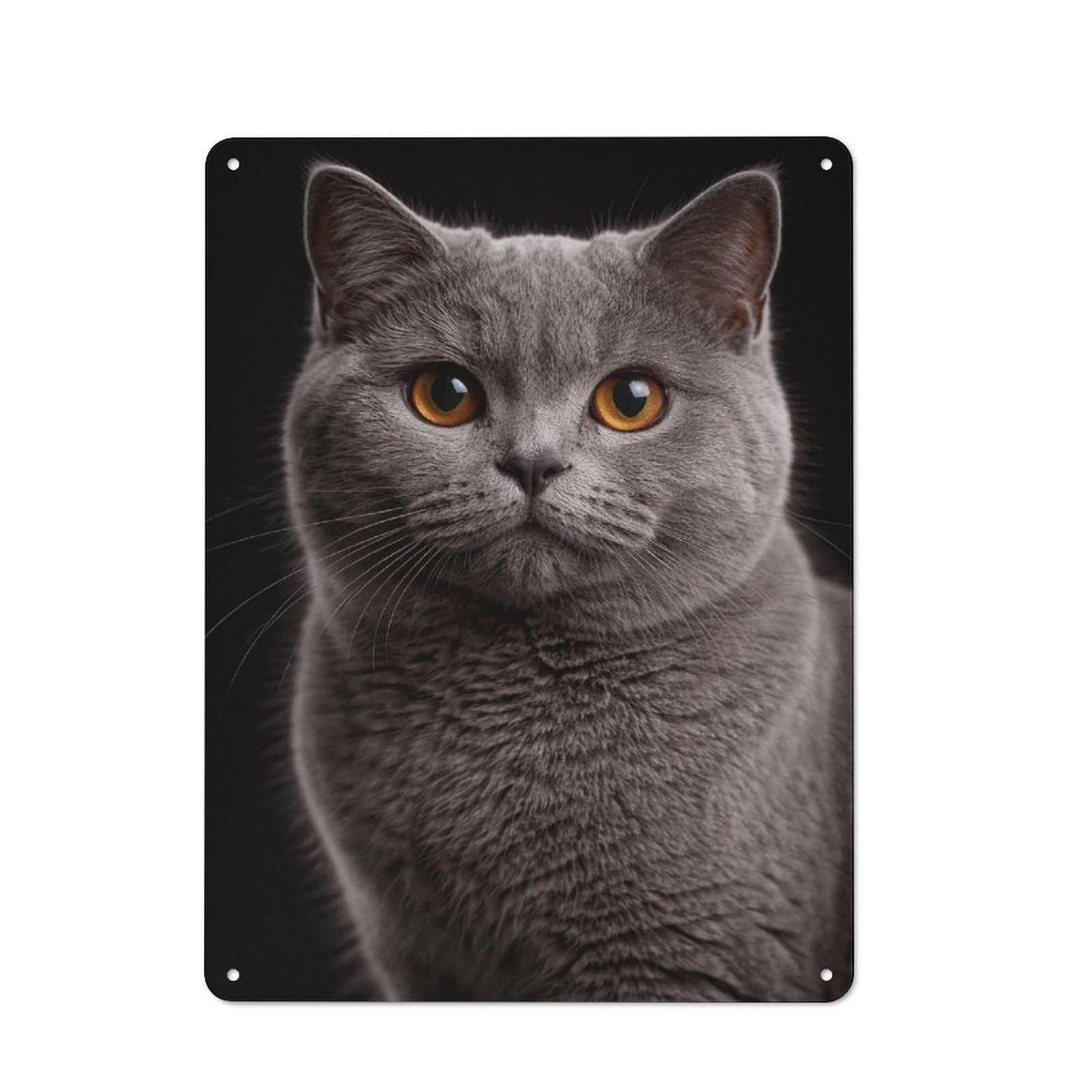 Tin Wall Sign with British Shorthair Cat Portrait Design 40x30cm, Cosy Cafe Wall Decor for Kitchen, Cafe, Pantry Or Dining Room