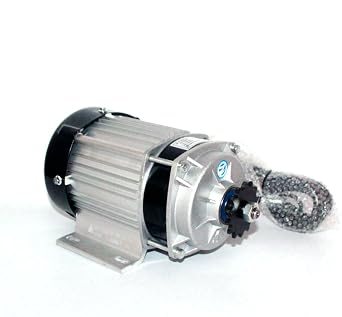 60V 750W High Quality BLDC Motor Scooter Bike Tricycle Gear Motor Rickshaw Brushless Motor E-Tricycle Motor