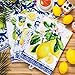 Geyoga 6 Pieces Blue and White Lemon Kitchen Towels Set Absorbent Dish Towels Decorative Tea Washcloth for Spring Summer Kitchen Bathroom Home Decor, 16 x 24 Inch (Blue, White)