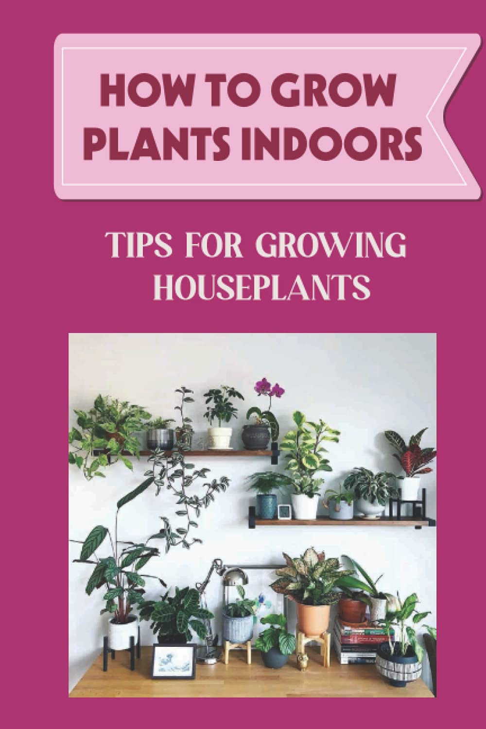 How To Grow Plants Indoors: Tips For Growing Houseplants: How To Grow Indoor Plants From Cuttings