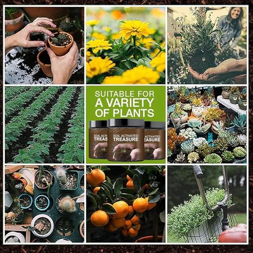 Image of Soil Activated Treasure Plant Growth Booster | Improves Soil Quality & Root Support | Suitable for Indoor & Outdoor Plants | for Pots, Gardens & Home Plants | Easy to Use 200g (pack of 2)