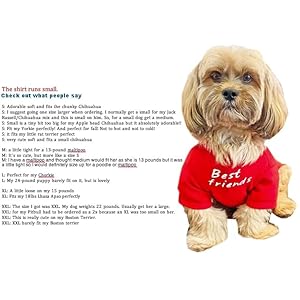 Cute dog clothesdog t shirt for medium dogsdog clothes for small dogs girl boypuppybreathable soft dog costume pet dogs catspet pullover jumpercat clothes m 711lb chest16 khaki  urban country home decor