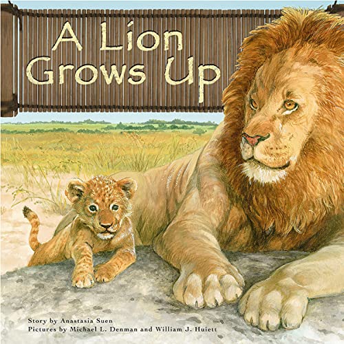 A Lion Grows Up by Anastasia Suen episode artwork