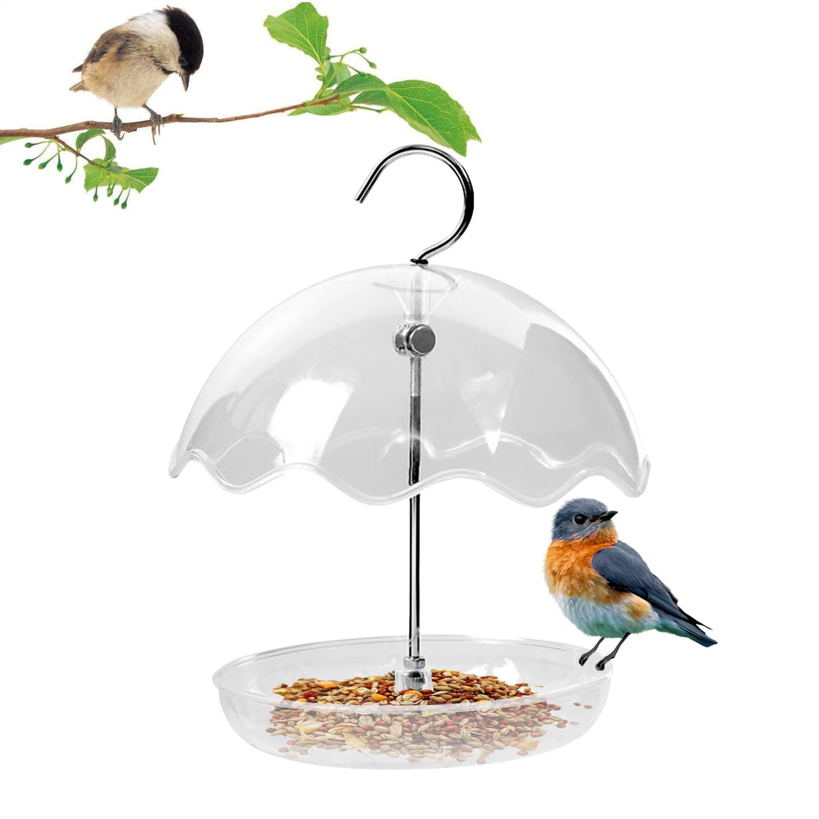 Mangeoire à oiseaux transparente pour stopper le gaspillage
