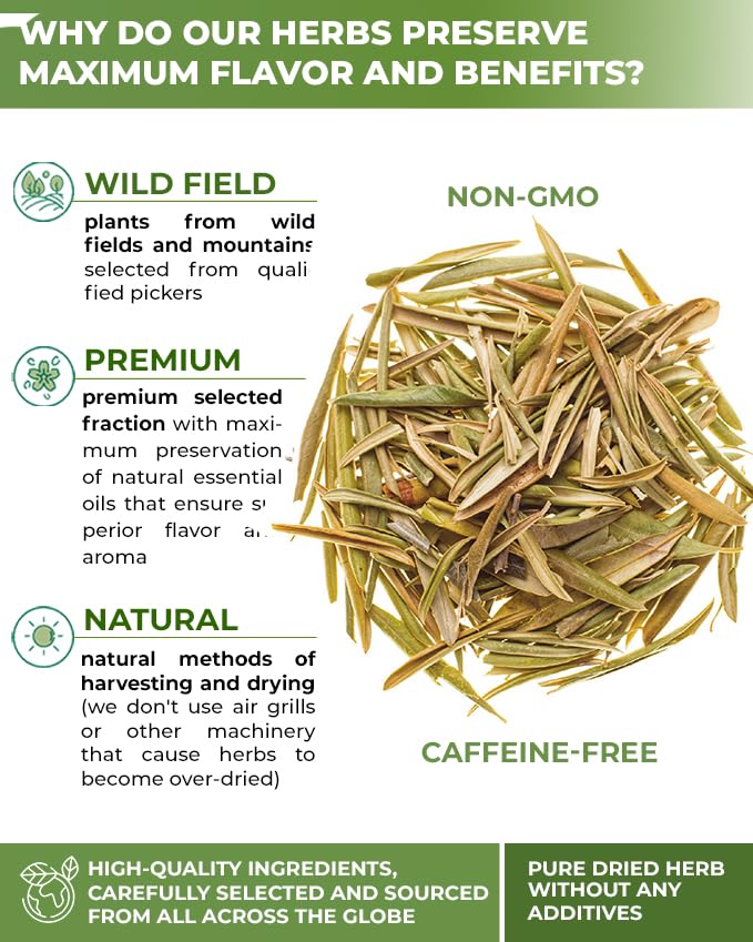 Image of 50 Bags Olive Leaf Tea Dried Olive Leaf Herbal Tea (Olea Europaea) - 50 Count 1.5 g Bags Hojas De Olivo Secas