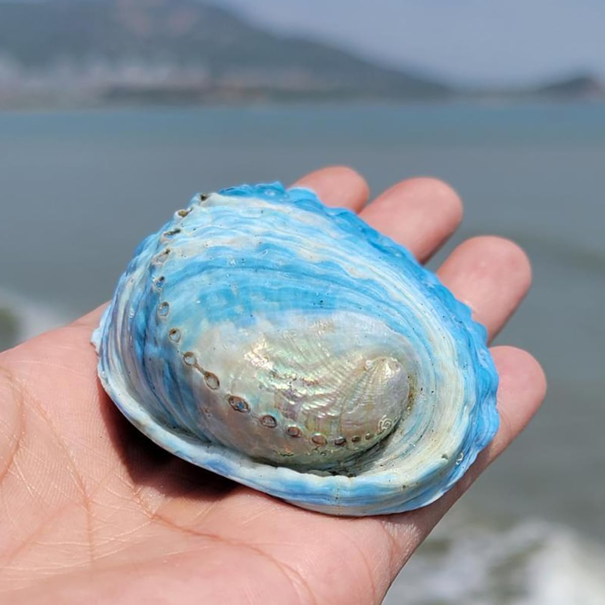 MJFENDAI 30 Pcs Madreperla Con Foro, Conchiglie Rotonde Charms 50 Mm, Fatti A Mano, Per Gioielli Fai Da Te, Con Charm, Decorazione Per Buco, Conchiglie, Romanzo