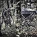 Ameristep Brickhouse Hunting Blind | 3-Person Ground Blind in Mossy Oak Break-Up Country, One Size