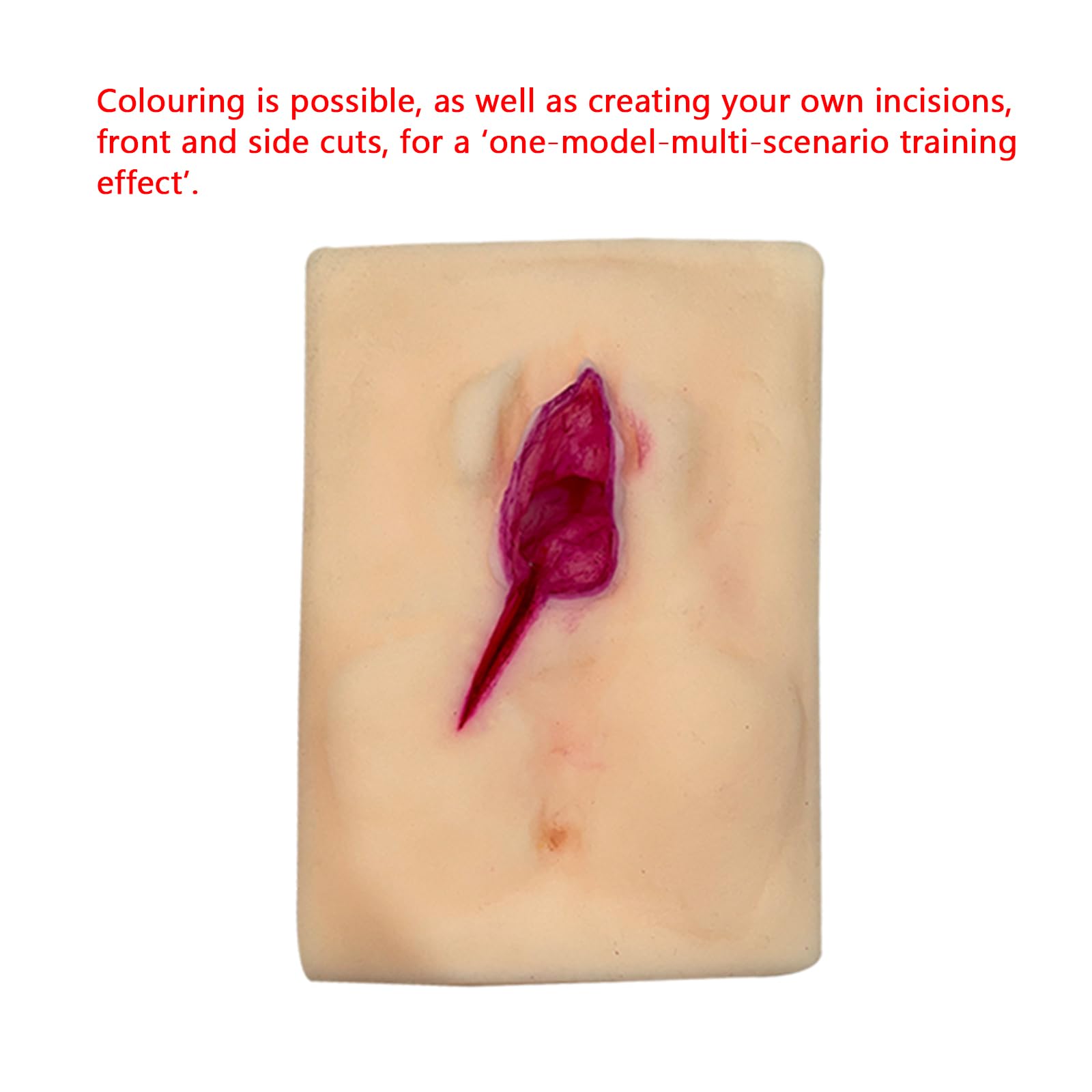 Modelo de práctica de sutura perineal de incisión de Vulva Femenina, simulador de Entrenamiento de sutura de Vulva, para la exhibición de Estudio