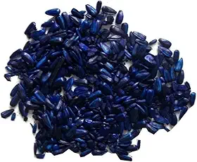 1 Kg Veneno Mata Rato Ratazana Raticida Semente Girassol Azul Venda Livre