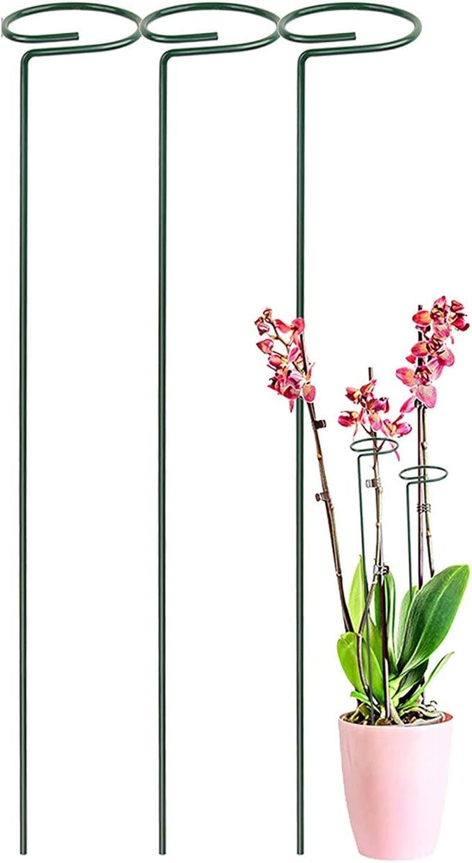 ecofynd 18 inches Metal Trellis for Plants, Pack of 3 | Single Stem Flower Plant Support | Garden Climbing Plant Trellis for Amaryllis Orchid Lily Rose Tomatoes