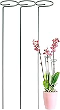 ecofynd 16 inches Metal Plant Stakes, Pack of 3 | Single Stem Flower Plant Support | Garden Plant Trellis for Amaryllis Orchid Lily Rose Tomatoes