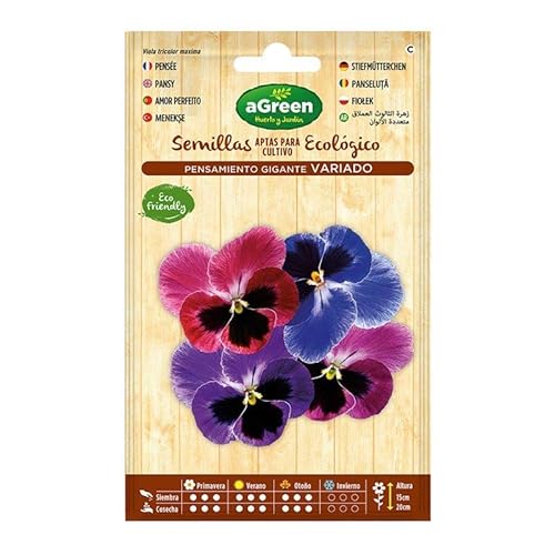 AGREEN - Sobre semillas pensamiento gigante agreen - EDM 06417